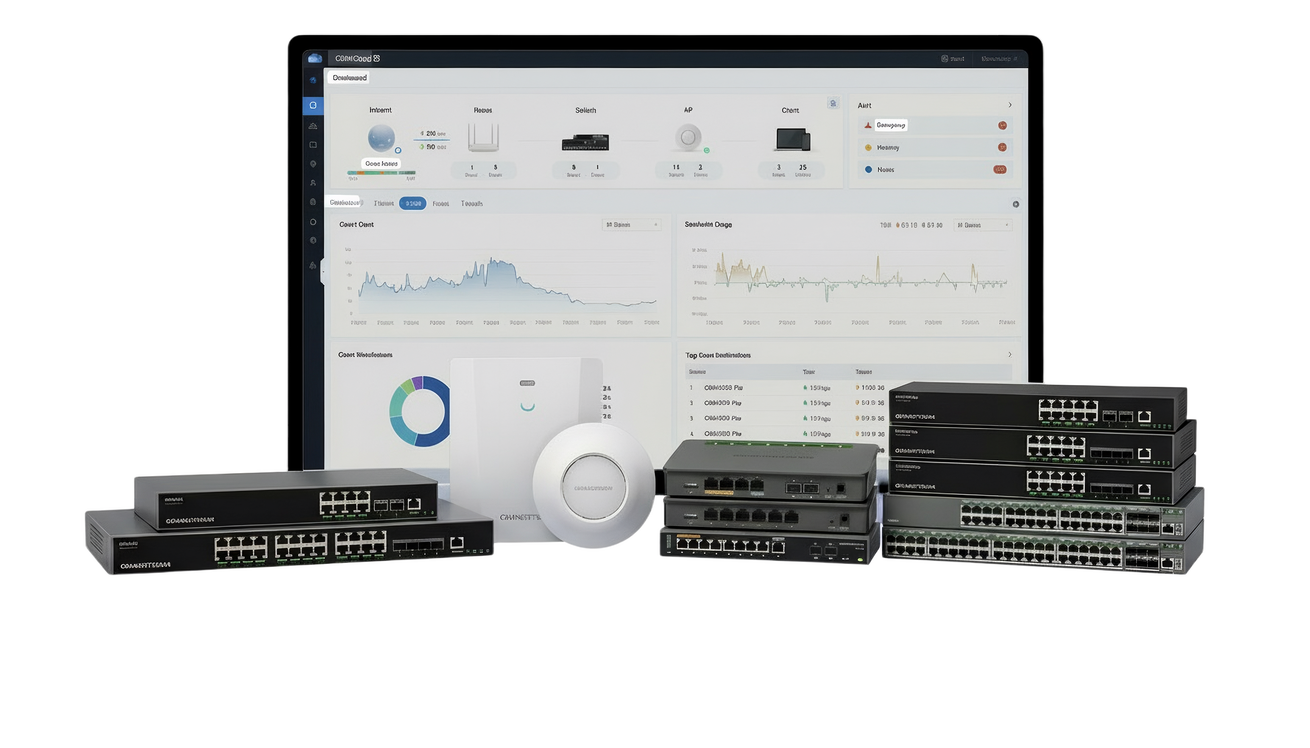 Enterprise Network Routers